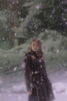 場所：北陸道  賤ヶ岳SA雪の中のモデル撮影。この日は雪が降らず、諦めて帰る途中、高速道道路で吹雪になりました。急いでSAに寄り、夢中で雪の中のしのちゃんを撮りました。寒かったです。